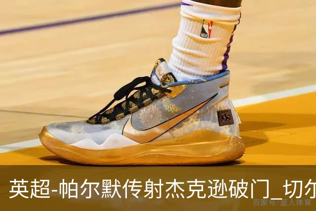 英超-帕尔默传射杰克逊破门 切尔西3-2纽卡斯尔
